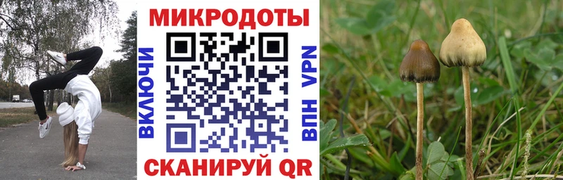 Галлюциногенные грибы Cubensis  Медвежьегорск 